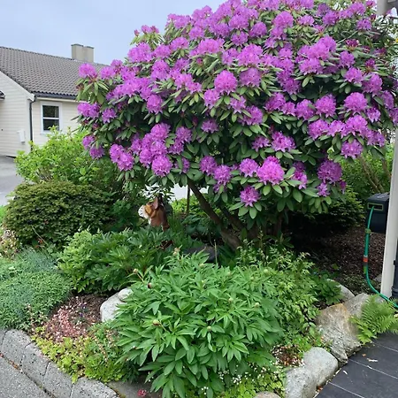 דירה Kitty Kiellands Gate 20 *