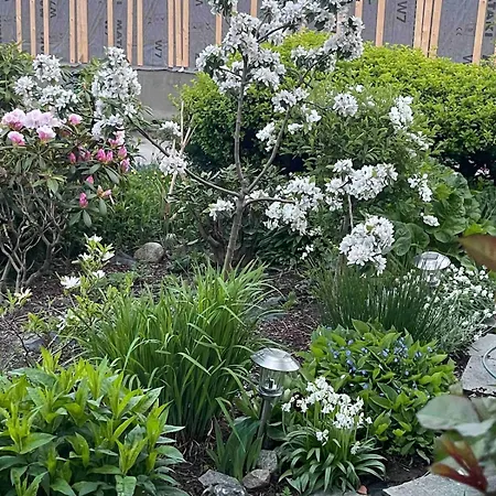 Kitty Kiellands Gate 20 *