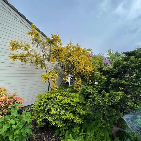 Appartamento Kitty Kiellands Gate 20 *